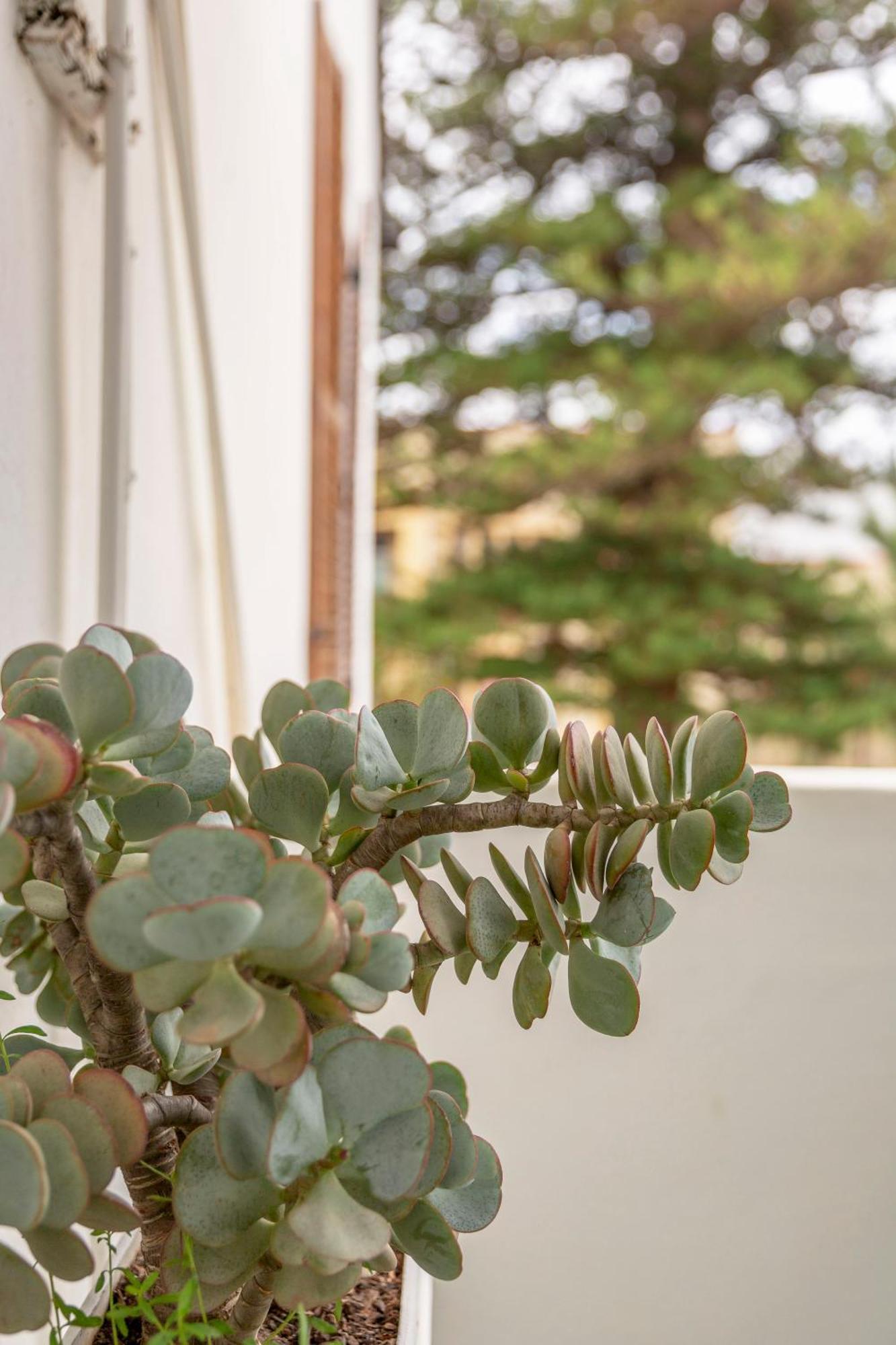 Airlies Historical Guest House Montagu Εξωτερικό φωτογραφία